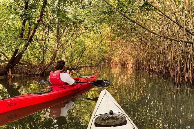 Kayaking in the Backwaters