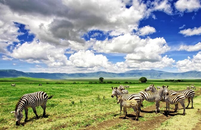 Ngorongoro Conservation Area,Tanzania