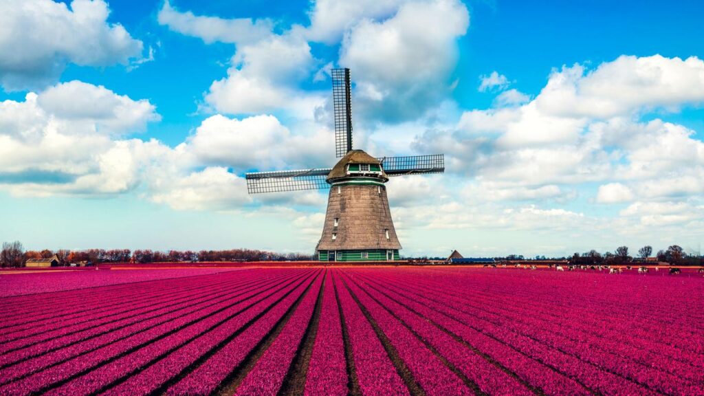 Netherlands ,Europe